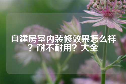 自建房室内装修效果怎么样？耐不耐用？大全