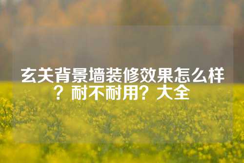 玄关背景墙装修效果怎么样？耐不耐用？大全