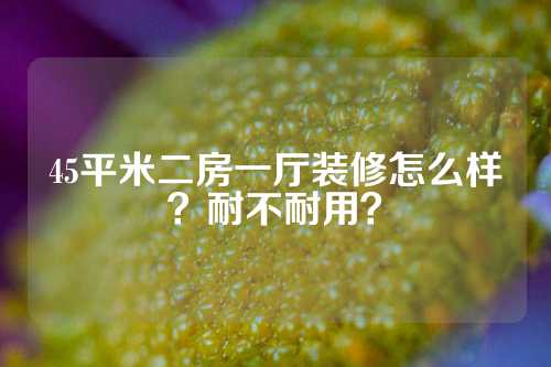 45平米二房一厅装修怎么样？耐不耐用？