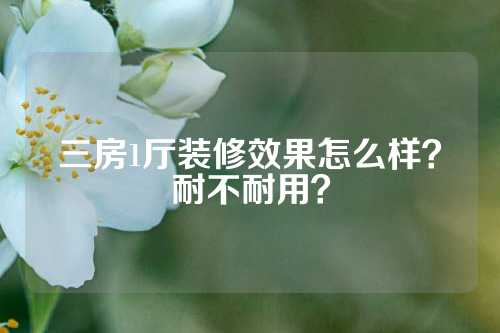 三房1厅装修效果怎么样？耐不耐用？