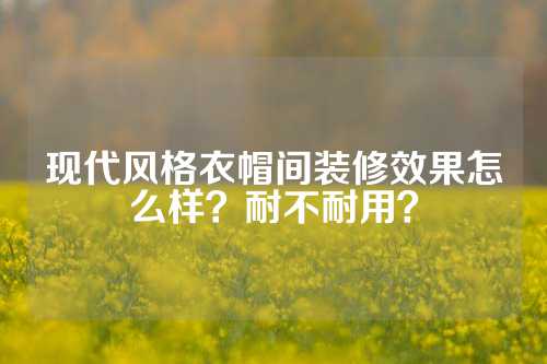 现代风格衣帽间装修效果怎么样？耐不耐用？