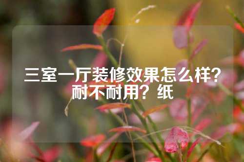 三室一厅装修效果怎么样？耐不耐用？纸