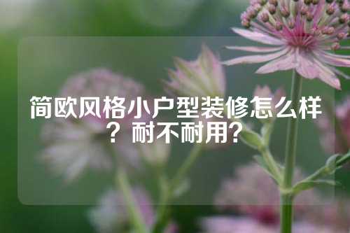 简欧风格小户型装修怎么样？耐不耐用？