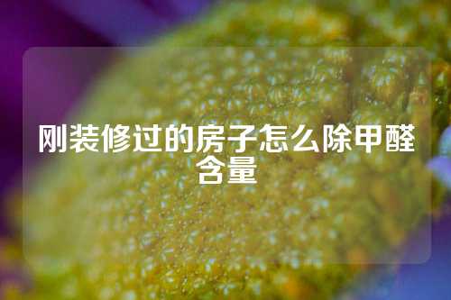 刚装修过的房子怎么除甲醛含量