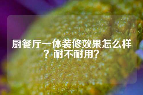 厨餐厅一体装修效果怎么样？耐不耐用？