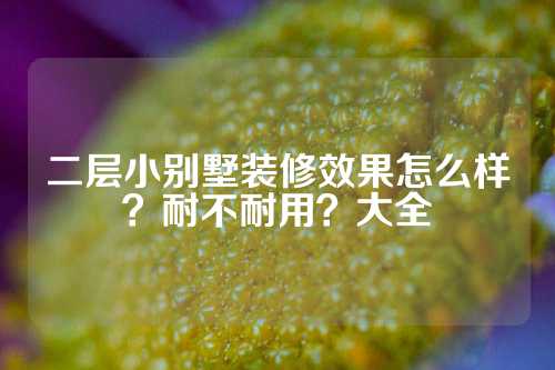 二层小别墅装修效果怎么样？耐不耐用？大全