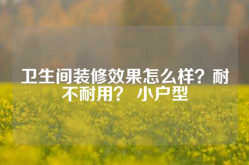 卫生间装修效果怎么样？耐不耐用？ 小户型