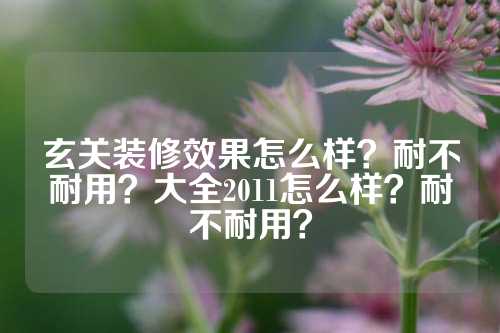 玄关装修效果怎么样？耐不耐用？大全2011怎么样？耐不耐用？