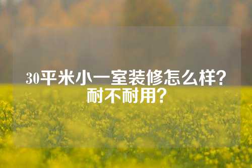 30平米小一室装修怎么样？耐不耐用？