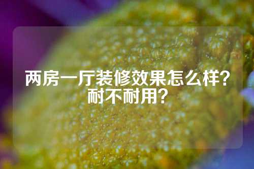 两房一厅装修效果怎么样？耐不耐用？