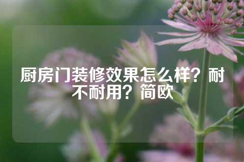 厨房门装修效果怎么样？耐不耐用？简欧