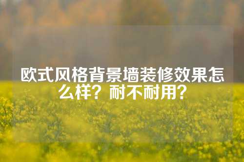 欧式风格背景墙装修效果怎么样？耐不耐用？