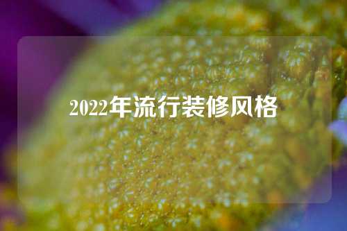 2022年流行装修风格