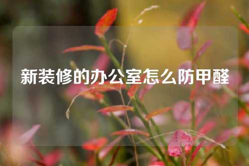 新装修的办公室怎么防甲醛