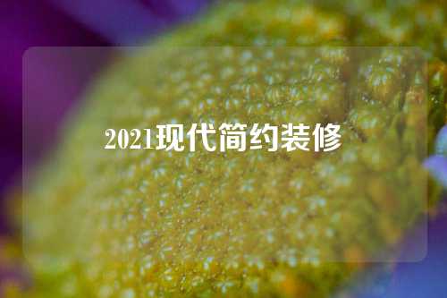 2021现代简约装修