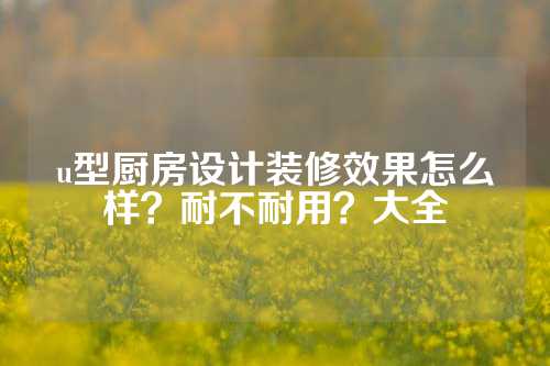 u型厨房设计装修效果怎么样？耐不耐用？大全