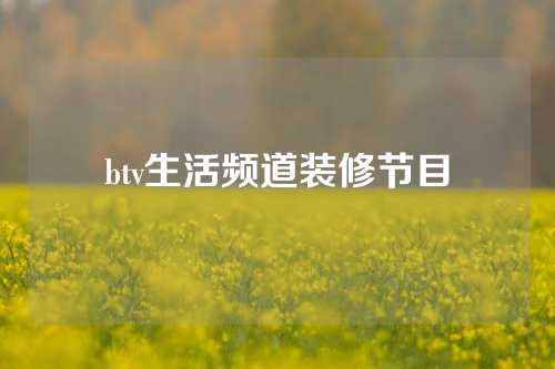 btv生活频道装修节目