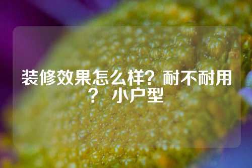 装修效果怎么样？耐不耐用？ 小户型