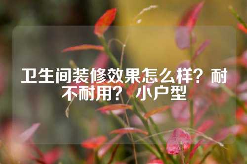 卫生间装修效果怎么样？耐不耐用？ 小户型