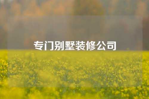 专门别墅装修公司