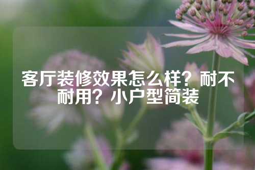 客厅装修效果怎么样？耐不耐用？小户型简装