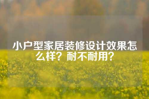 小户型家居装修设计效果怎么样？耐不耐用？