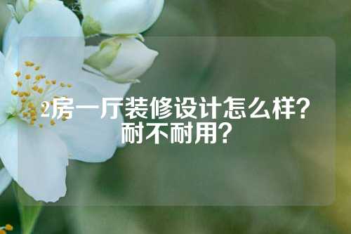 2房一厅装修设计怎么样？耐不耐用？